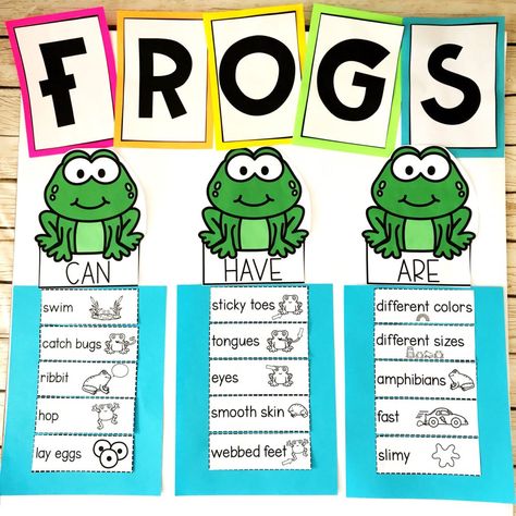 Frog Lesson Plans Preschool, Frog Life Cycle Anchor Chart, Frog Lesson Plans, Preschool Life Cycle Activities, Frog Life Cycle Craft, Frog Life Cycle Activities, Frogs Preschool, Life Cycles Preschool, Life Cycle Of A Frog