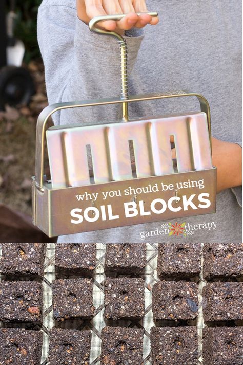 Soil Blocking, Soil Blocks, Regrow Vegetables, Organic Insecticide, Organic Gardening Pest Control, Starting Seeds, Garden Therapy, Annual Garden, Organic Pesticide