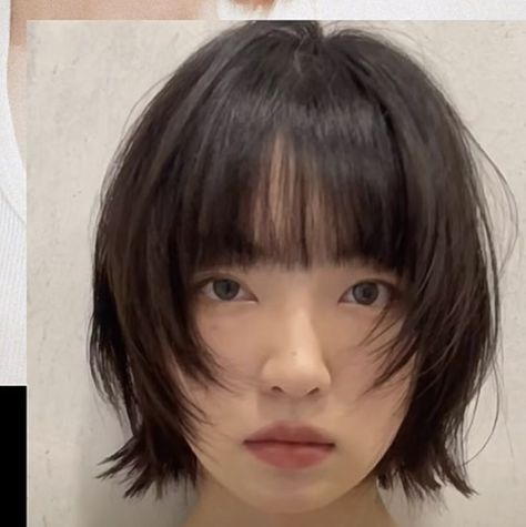 Japanese Style Short Hair, Japan Bob Hair, Ear Length Hair Round Face, Short Hime Cut With Bangs, Short Haircut Japanese, Short Hair Full Bangs, Side Bangs Short Hair Round Face, Shaggy Short Hair Bob, Layered Bob Asian