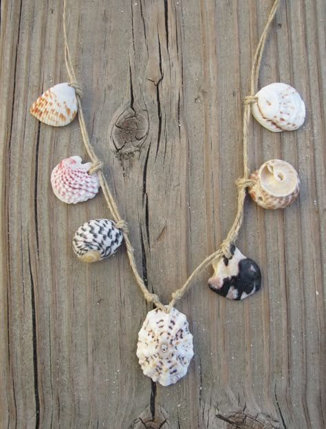 Seashell Jewelry Diy Necklaces, Diy Seashell Necklace, Sea Shell Necklace Diy, Seashell Necklace Diy, Twine Necklace, Shell Necklace Diy, Seashell Jewelry Diy, Sea Shells Diy, Shell Projects