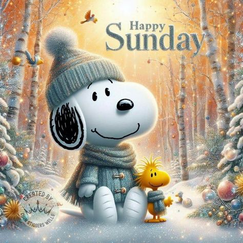 Happy Sunday Snoopy, Sunday Snoopy, Have A Terrific Tuesday, Snoopy Happy Dance, Happy Sunday Images, Good Morning To All, Terrific Tuesday, Good Morning Winter, Happy Sunday Morning