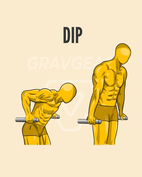 Dip it good: ★ Lean slightly forward when going down ★ Squeeze the bar tight ★ Upper arm parallel to the ground at the bottom ★ Lock out elbow and elevate shoulder at the top ★ Flex abs all the time #gravgear #weightedvest #weightedworkout #workouttips #workoutmotivation #calisthenicsworkout #calisthenicstraining #calisthenicsmotivation #fitnessinspiration #workoutplan #calisthenicsaustralia #dip #diptraining #muscleups #muscleupprogression #diptraining Calisthenics Equipment, Dip Workout, Calisthenics Workout Plan, Calisthenics Training, Gymnastic Rings, Lock Out, Full Body Workout Routine, Abs Workout Gym, Muscle Up