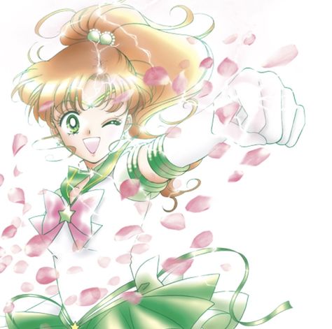 Sailor Jupiter Sailor Moon Jupiter, Moon Icon, Princess Serenity, Sailor Moon Wallpaper, Mahō Shōjo, Sailor Moon Character, Best Icons, Sailor Jupiter, Sailor Moon Crystal