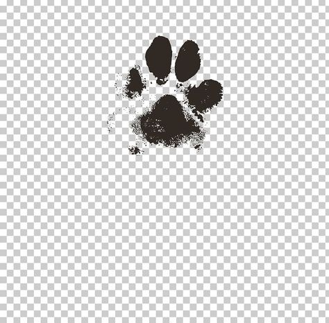 Zine Layout, Cricut Animals, Paw Cat, Cat Footprint, Binder Ideas, Animal Footprints, Computer Wallpaper Desktop Wallpapers, Cat Paw Print, Black And White Cat