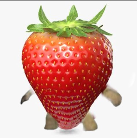 Strawberry Pfp, Funny Bases, Strawberry Png, Face Cut Out, Body Template, Face Template, Overlays Cute, Pretty Skin Care, Strawberry Fruit