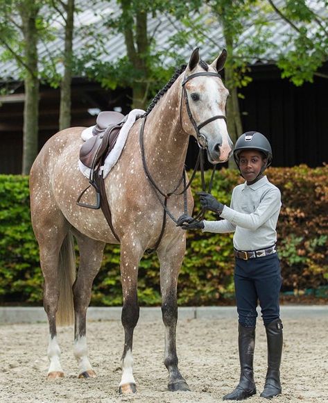 Hunter Jumper Outfits, Jumper Outfits, Horse Inspiration, Jumper Outfit, English Riding, Hunter Jumper, Equestrian Riding, Horse Blankets, Horse Jumping