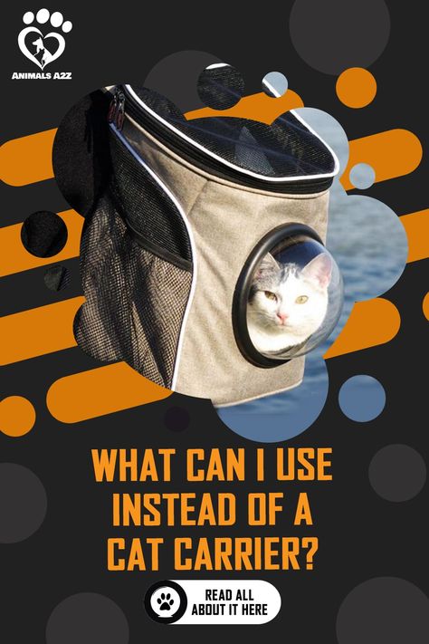 Alternatives to a cat carrier: Cardboard boxLaundry basket Tota bag It’s always a good idea to use a cat carrier whenever you need to take your cat so... Diy Cat Carrier Bag, Cat Carrier Bag Diy Free Pattern, Cat Carrier Diy, Pet Carrier Diy, Cat Illnesses, Cat Carrier Bag, Cat Ages, Owning A Cat, Dry Cat Food