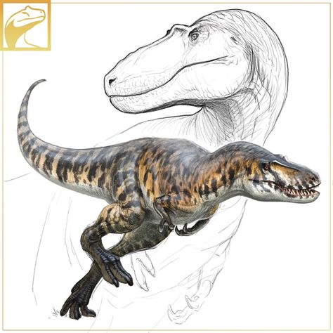 Dinosaurs Drawing, Prehistoric Animals Dinosaurs, Dinosaur Sketch, Cool Dinosaurs, Prehistoric Wildlife, Cat Anatomy, Dinosaur Images, Dinosaur Drawing, Dinosaur Pictures