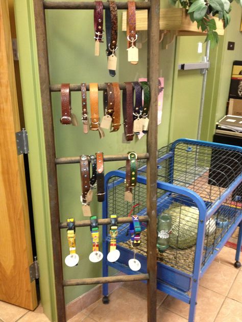 we found this ladder in the back alley one day, and cleaned up to make a great display for collars and leashes Veterinary Retail Display, Leash Display, Dog Leash Display, Pet Retail Display Ideas, Dog Display Ideas Pet Shop, Dog Collar Display Stand, Pet Store Ideas Display, Boutique Store Displays Dog, Dog Collar Display