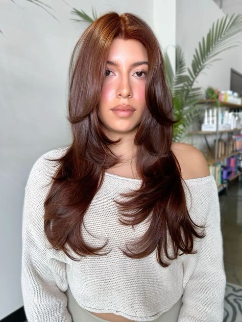 Brown Hair Layers Highlights, Brown Hair With Copper Undertones, Warm Rich Brown Hair, Warm Chocolate Brown Hair Color, Brown Autumn Hair, Cherry Chocolate Brown Hair, Chocolate Brown Hair With Layers, Warm Chocolate Hair Color, Brown Chestnut Hair