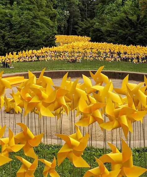 7,000 stone dust paper pinwheel flowers bloom in brooklyn's prospect park Giant Pinwheel, Pinwheels Paper, Public Artwork, Experiential Marketing, Prospect Park, Flowers Bloom, Pumpkin Patch, This Summer, Biodegradable Products