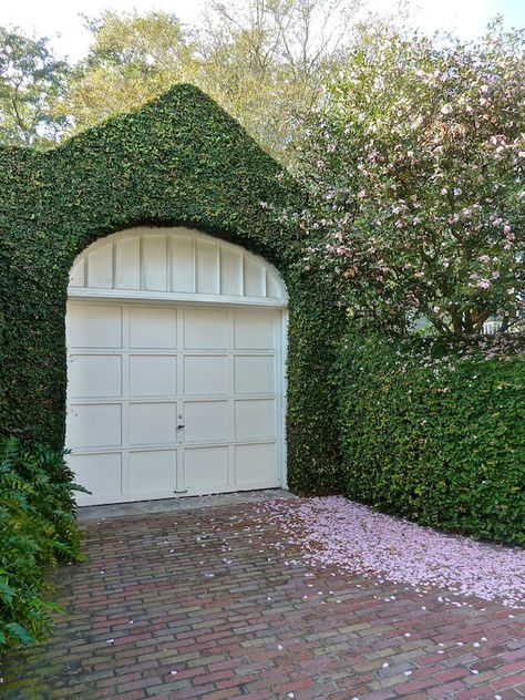 Charleston Creeping Fig, Carriage House Garage, Garage Door Types, Glam Pad, Garage Design, Charleston South Carolina, Bougainvillea, Garage Door, Walkway