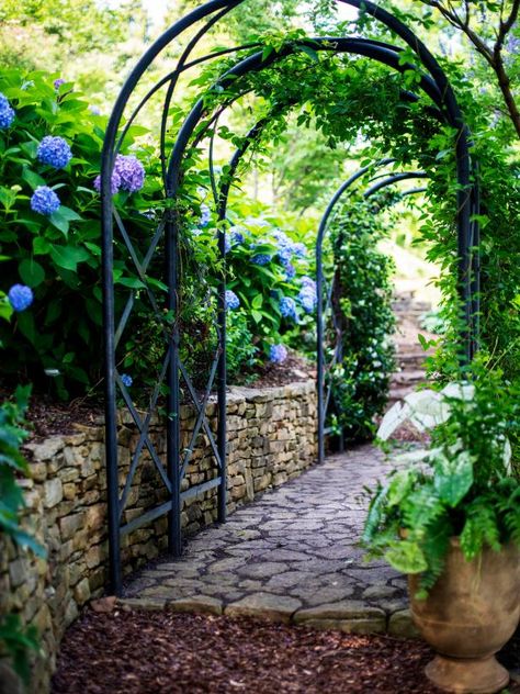 Ideas for Creating Walkways in Your Landscape | HGTV Arbor Walkway Paths, Backyard Enhancements, Front Yard Walkway Ideas Entrance, Arbor Walkway, Front Walkway Ideas, Garden Entrance Ideas, Backyard Vineyard, Walkways Ideas, Garden Entertaining