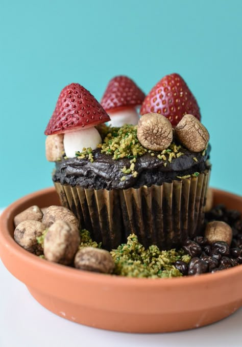 These gluten and dairy free DIY Edible Terrariums are Mother Nature's way of including those of us with brown thumbs. Snacks Diy, Diy Edible, Dirt Cake, Gluten And Dairy Free, Cute Baking, Cute Desserts, Pretty Cakes, Let Them Eat Cake, Pretty Food