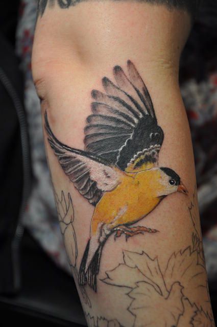 american goldfinch Gold Finch Tattoo, Goldfinch Tattoo, Yellow Bird Tattoo, Jigsaw Tattoo, Realistic Bird Tattoo, Finch Tattoo, Geometric Tattoo Bird, White Bird Tattoos, Thistle Tattoo