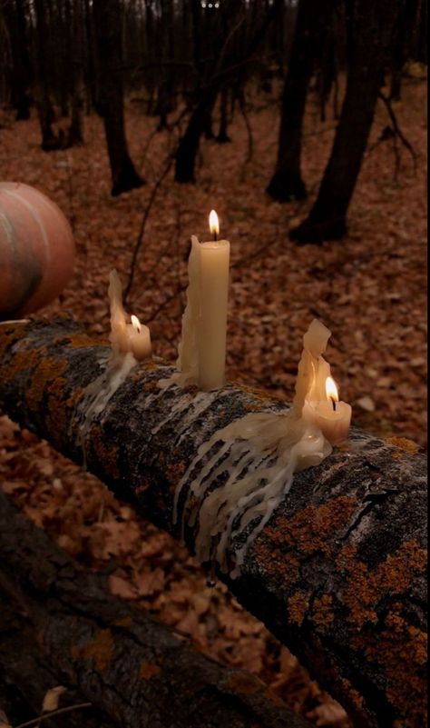 Halloween garden - outdoor decorations - candles Halloween Candles Aesthetic, Fall Mood Board, Autumn Magic, Dark Autumn, Fallen Leaves, Halloween Candles, Season Of The Witch, Witch Aesthetic, Fall Feels