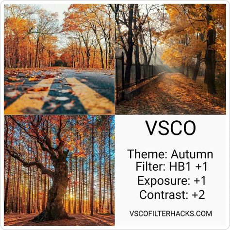 Autumn Filter, Filter Hacks, Vsco Filter Free, Filter Presets, Vibes Photography, Vsco Filter Instagram, Vsco Themes, Best Vsco Filters, Vsco Nature