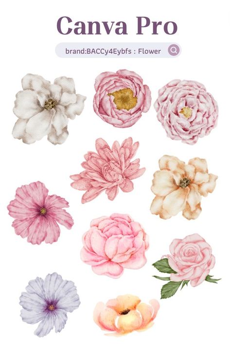 Canva Pro : Flower watercolor elements #canva Canva Watercolor Elements, Canva Flower Elements, Font Canva Lettering, Namaste Art, Canva Keywords, Graphic Shapes Design, Keyword Elements Canva, Canva Elements Keyword, Flower Graphic Design