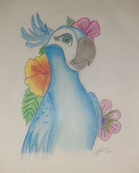 Rio Drawing, Jewel Rio, Rio Jewel, Jewel Drawing, Pets Drawing, Sketch Drawing, Drawing Ideas, Drawing Sketches, Art Sketches