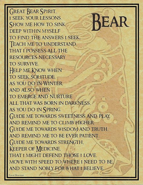 Native American Zodiac Bear, Animal Prayers, Wiccan Runes, Celtic Wicca, Spirit Guides Meditation, Spiritual Art Soul, Lone Wolf Quotes, Bear Spirit, Native American Spirituality