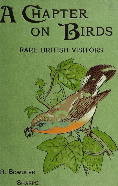 A chapter on birds by R Bowdler Sharpe. Rare British Visitors. London New York 1895 Bird Book Cover, Nature Cabinet, Mini Bookstore, Nature Notebook, Old Book Art, British Birds, Bird Book, Vintage Book Covers, Beautiful Book Covers