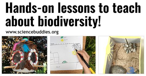 Teach About Biodiversity with Free STEM Lessons & Activities | Science Buddies Blog Biodiversity Project Ideas, Fog Catcher, Biomes Activities, Science Fair Project Ideas, Fair Project Ideas, Stem Lessons, Elementary School Science, Science Fair Project, Stem Curriculum