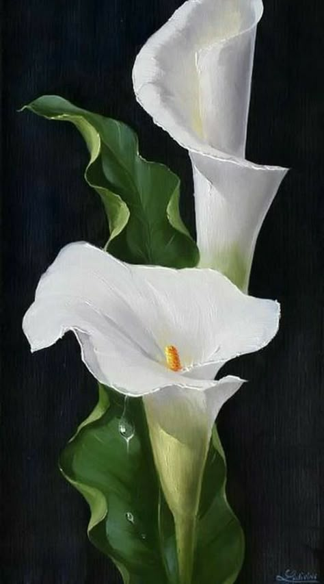 School Drawings, Arum Lily, Seahorse Art, Calla Lily Flowers, Beautiful Flower Drawings, Cross Embroidery, Flower Drawing Tutorials, Lily Painting, Embroidered Cross