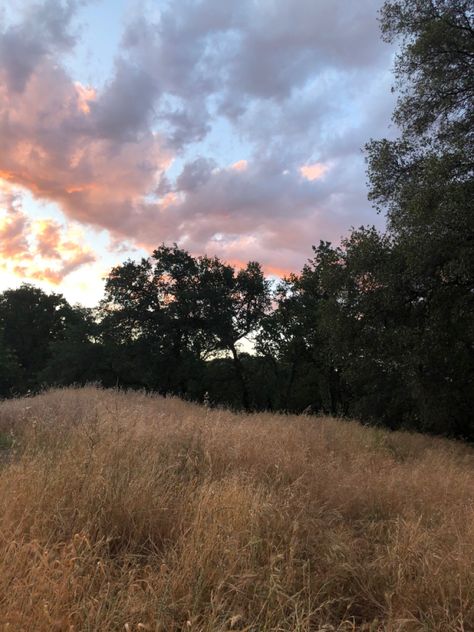 Rural California, Sacramento River, Family Road Trip, Road Trip Adventure, Sunset Aesthetic, Family Road Trips, Personal Photo, Sacramento, Travel Usa