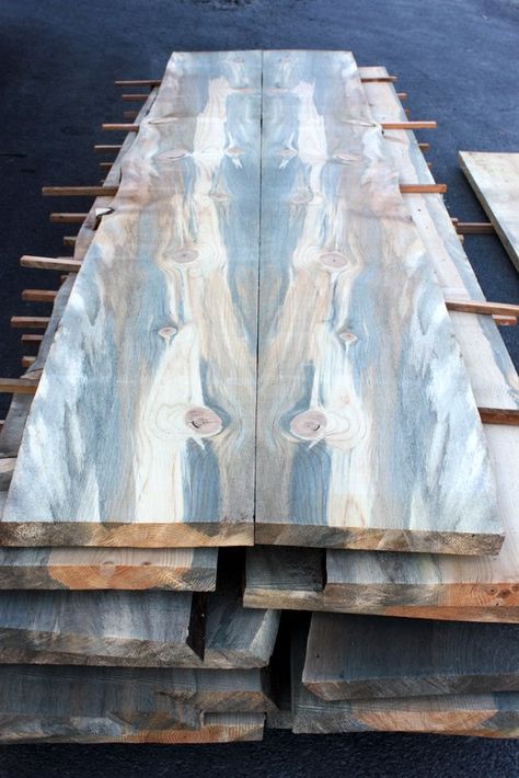 What would you do with these live-edge blue pine slabs? Beetle Kill Pine, Blue Pine, Got Wood, Pine Table, Pine Furniture, Pine Floors, Live Edge Wood, Handmade Furniture, Wood Species