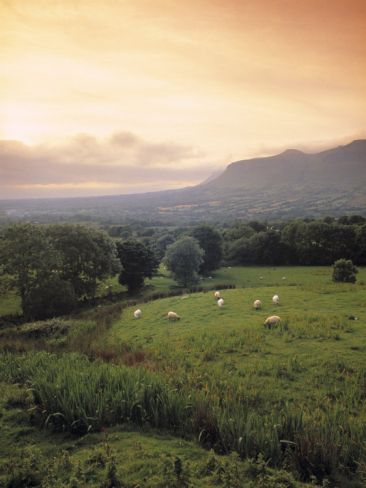 Vintage Irish Aesthetic, Sea Cottagecore, Ireland Aesthetic, Sligo Ireland, County Sligo, Irish Country, Love Ireland, English Countryside, Ireland Travel