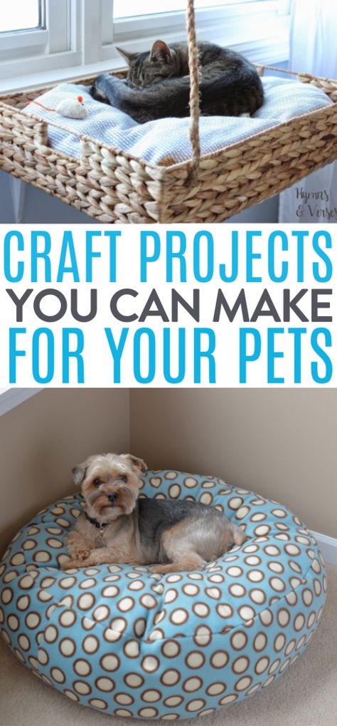 Fun Diy Ideas, Fleece Dog Bed, Dogs Diy Projects, Diy Recycled Projects, Dog Leash Holder, Cats Diy Projects, Best Dog Toys, Pet Leash, Love Your Pet