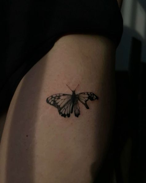 Torn Butterfly Tattoo, Butterfly In A Jar Tattoo, Butterfly With Torn Wing Tattoo, Damaged Butterfly Tattoo, Punk Butterfly Tattoo, Decaying Butterfly Tattoo, The Butterfly Effect Tattoo, Half Moth Half Butterfly Tattoo, Butterfly Arm Sleeve