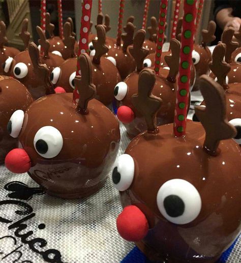 Chocolate Covered Apples Christmas, Christmas Chocolate Apples, Christmas Apples, Gourmet Candy Apples, Gourmet Caramel Apples, Candy Apple Recipe, Caramel Apples Homemade, Caramel Apples Recipe, Chocolate Covered Apples