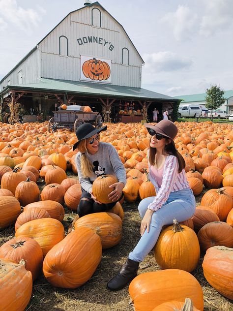 Patch Photography, Pumpkin Patch Photography, Fall Pumpkin Patch, Autumn Aesthetic, A Pumpkin, Fall Season, Fall Pumpkins, Pumpkin Patch, Baby Photos