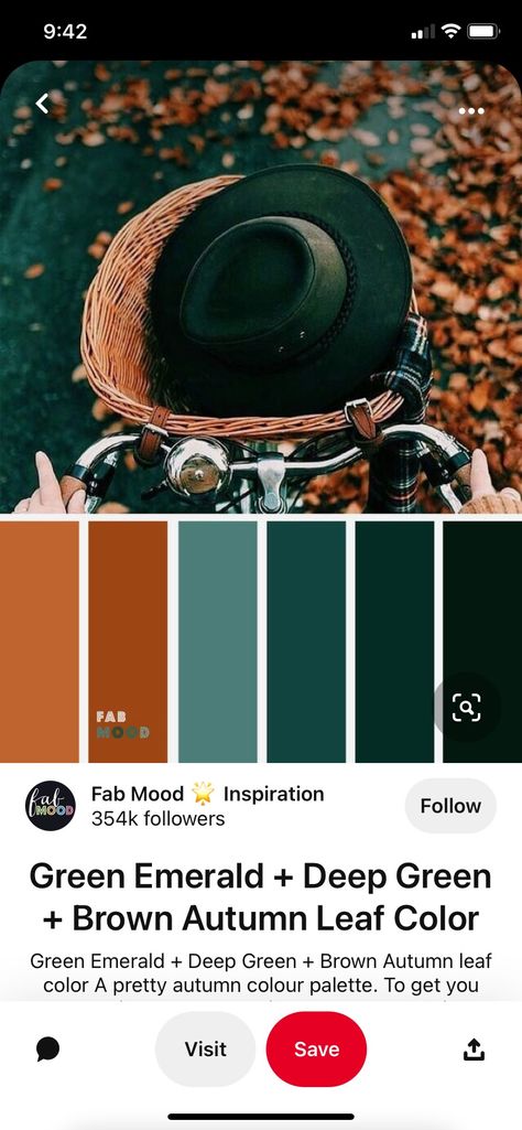 Orange Wedding Colors, Family Photo Colors, Autumn Leaf Color, Orange Color Schemes, Burnt Orange Weddings, Green Colour Palette, Fall Color Palette, Orange Wedding, Fall Family Photos