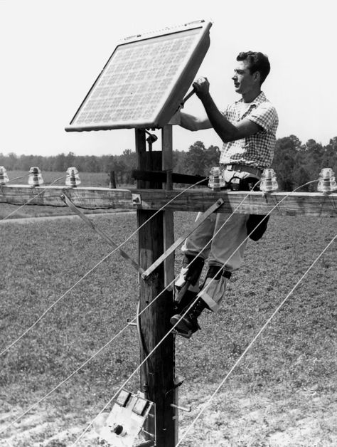 Up to 1954, solar cells could not produce enough electricity to power electrical devices. However, in 1954, Bell Labs scientists Daryl Chapin, Calvin Fuller, and Gerald Pearson constructed a solar cell with 6% efficiency, providing enough electricity to run electrical devices. Bell Labs, Solar Cells, Solar Cell, Scientists, Solar, Electricity