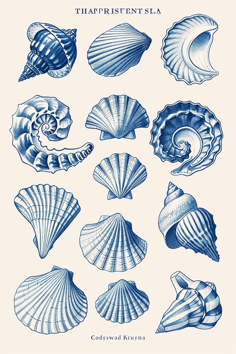 Art showcase directed by ThetaCursed, License: CC BY-NC 4.0 Beach Wall Prints, Decoration Theme Marin, Types Of Seashells, Shell Illustration, Shell Graphic, Tupac Art, Blue Seashell, Sea Creatures Art, Kids Room Murals