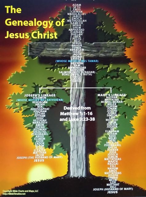 Dawning Genealogy: Advent Calendar of Christmas Memories - The Genealogy of Jesus the Messiah #genealogy #familyhistory Jesus Family Tree, Bible Genealogy, Genealogy Of Jesus, Bible Timeline, Genealogy Chart, Lincoln Logs, Bible Study Topics, Genealogy Free, Bible History