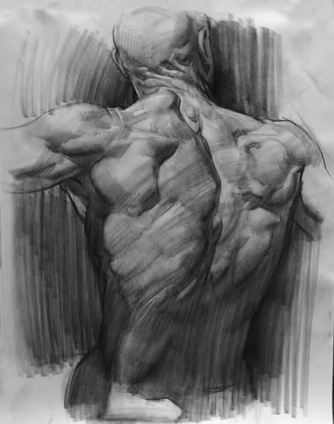 Male Figure Drawing, Couple Drawing, Red Photography, Drawing Eyes, Human Anatomy Drawing, Human Figure Drawing, Human Anatomy Art, Anatomy Sketches, Anatomy For Artists