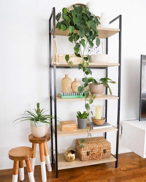 Shelf Decor Living Room, Ladder Bookshelf, Project 62, Ladder Shelf, Décor Boho, Plant Shelves, Shelf Styling, Room Essentials, Ladder Bookcase