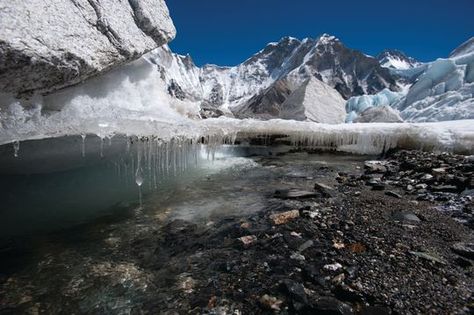 Global warming predicted to melt massive Himalayan glaciers, disrupt food production Glaciers Melting, Himalayas Mountain, Hindu Kush, Ice Cap, Robert Reich, Climate Crisis, Climate Action, Sea Level, Plant Life