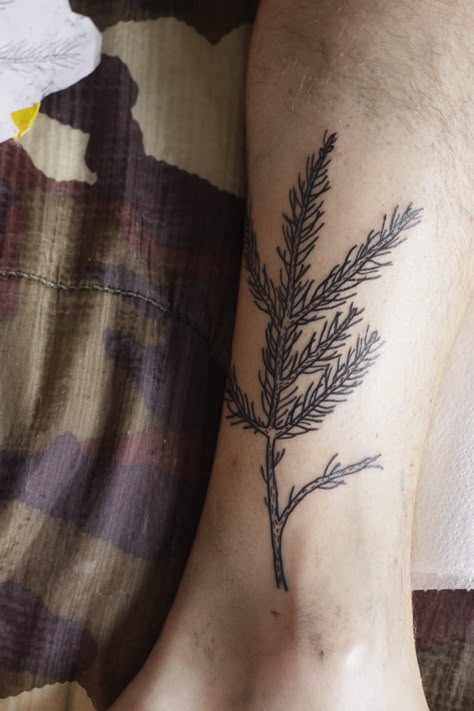 Spruce Tattoo Branch, Fir Tattoo Trees, Evergreen Branch Tattoo, Spruce Branch Tattoo, Fir Tree Tattoos, Pine Branch Tattoo, Olives Aesthetic, Branch Tattoo Design, Pinecone Tattoo