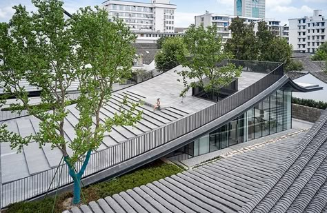 Slope House, Internal Courtyard, Building Roof, Green Architecture, Ancient City, Roof Garden, Roof Design, Green Roof, Contemporary Landscape