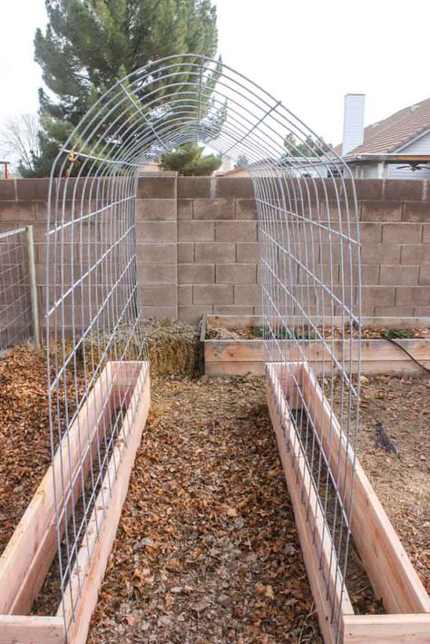 Building A Trellis, Raised Garden Bed Plans, Garden Boxes Diy, Diy Garden Trellis, Garden Boxes Raised, Diy Trellis, Diy Raised Garden, Garden Vines, Raised Garden Beds Diy