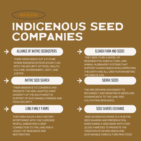 Spring is here, and it's time to start digging into our gardens and planting seeds. And what better way to support preserving traditional plant knowledge and promote food sovereignty than by buying your seeds from indigenous seed companies? These six companies are Indigenous-owned and led and are great places to start. Do you know of any others? Share them in the comments! Indigenous Food Sovereignty, Seed Company, Spring Is Here, Planting Seeds, Did You Know