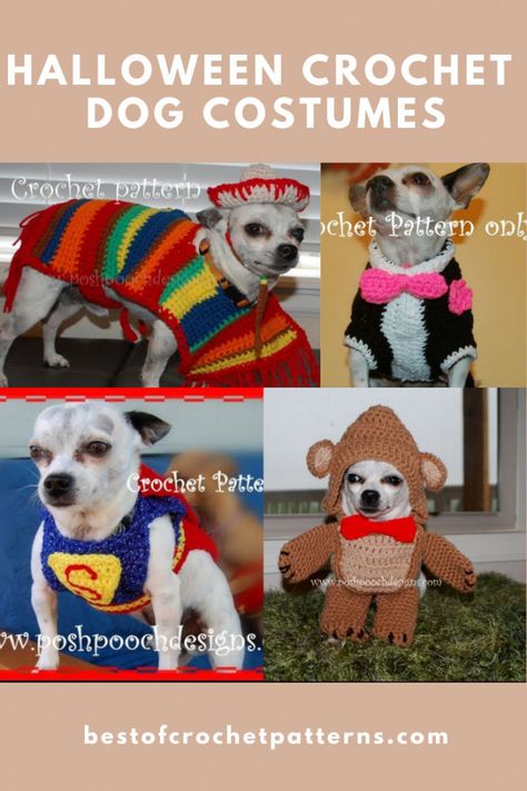 Halloween Crochet Pet Costume - Small Dog Clothes Crochet Pet Halloween Costume, Funny Crochet Patterns Hilarious, Crochet Dog Costume, Crochet Pet Costumes, Costumes For Dogs, Crochet Wolf, Small Dog Costumes, Halloween Costume Patterns, Costume Crochet