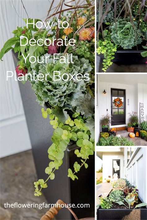 Fall planter boxes create a beautiful setting for your porch. Learn how you can give your front porch a facelift and add curb appeal by decorating your fall planter boxes. Find out how! Fall Outdoor Planter Ideas, Fall Planter Ideas, Fall Potted Plants, Fall Curb Appeal, Shade Plants Container, Fall Container Plants, Outdoor Planter Ideas, Fall Pots, Exterior Entrance