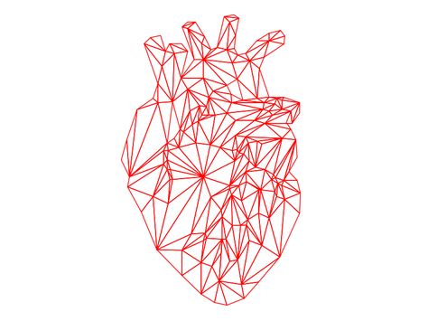 Beating heart Angiography Heart, Beating Heart Animation, Human Heart Beat Video, Bat Gif, Heartbeat Animation, Coeur Qui Bat, Anatomical Heart Illustration Medical, Anatomical Heart Art, Human Skeleton Anatomy