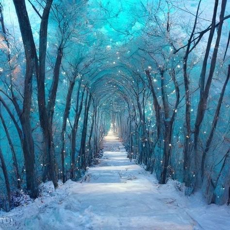 Fantasy Background, My Fantasy World, Snowy Forest, Winter Wonderland Wedding, Fantasy Places, Fantasy Setting, Winter Scenery, Fantasy Novel, Beautiful Landscape Wallpaper