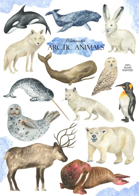 North Pole Animals, Wolf Clipart, Animal Clip Art, Arctic Sea, Polar Animals, Watercolor Winter, Winter Animals, Arctic Animals, Arte Animal